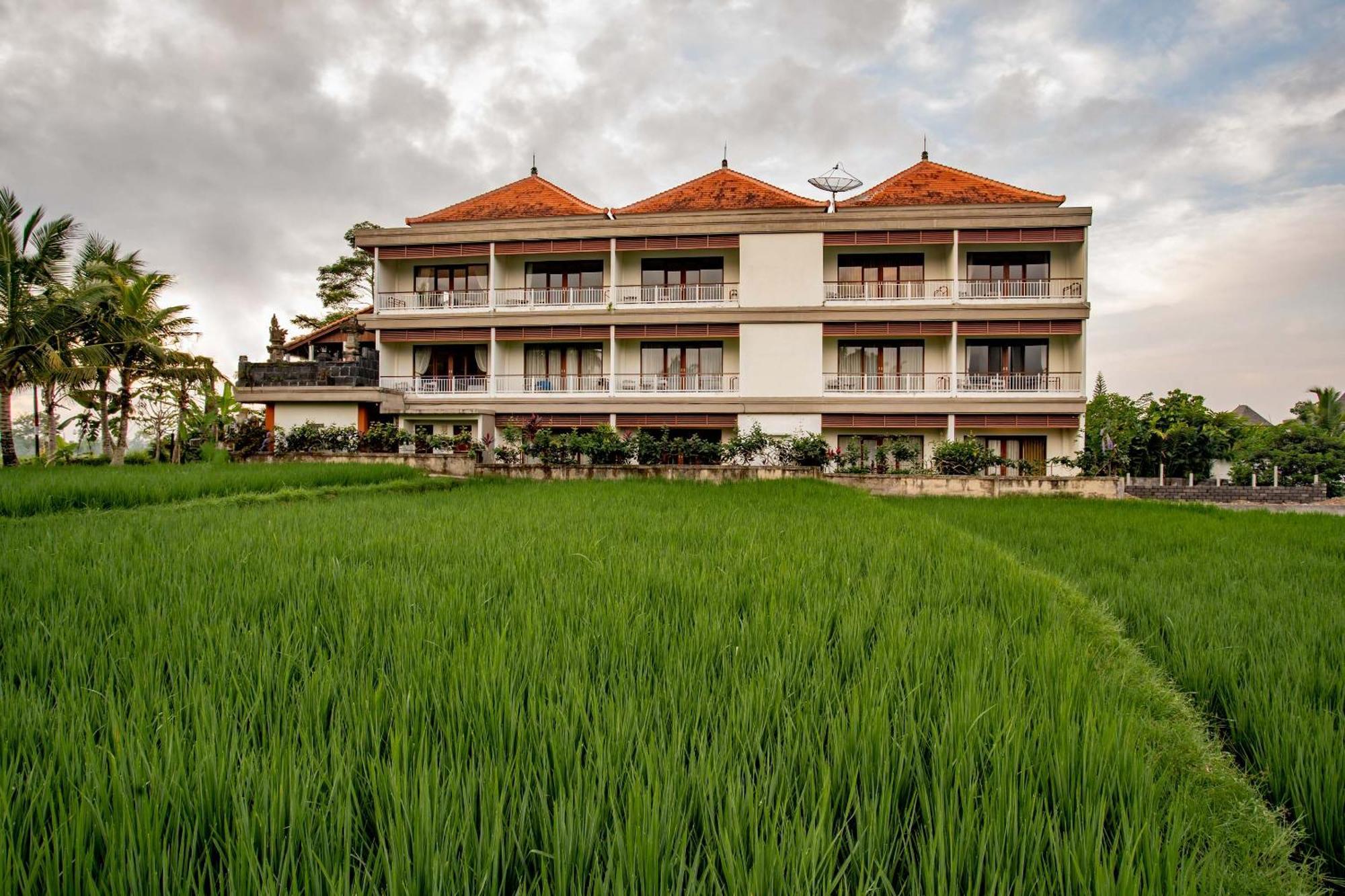 Paon Desa Ubud Exteriör bild